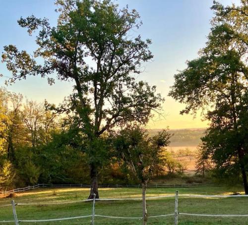 un arbre dans un champ à côté d'une clôture dans l'établissement Cottage with swimming pool, pool house and view !, à Dévillac