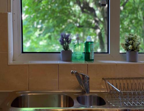 a kitchen sink with two bottles on a window ledge at Tom's Place in Mile End in London