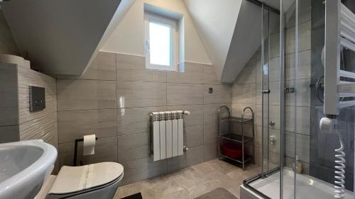 ザコパネにあるMSC Apartments Zakopane Centrum Pod Smrekamiのバスルーム(トイレ、洗面台、シャワー付)