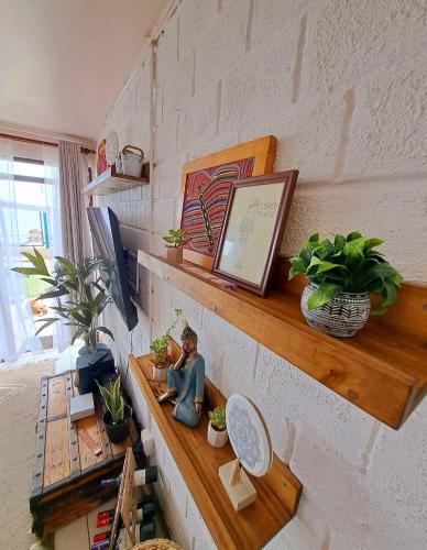 a room with a shelf with plants and a statue on it at La Marina home in Concón