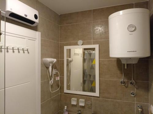 bagno con doccia e asciugacapelli appeso al muro di Apartman Pan a Soko Banja