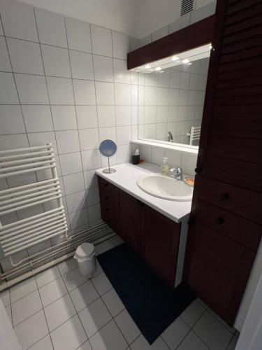 une salle de bain avec un lavabo et un miroir dans l'établissement Paris charm suite authentique, quartier latin, 4/6 pers, à Paris
