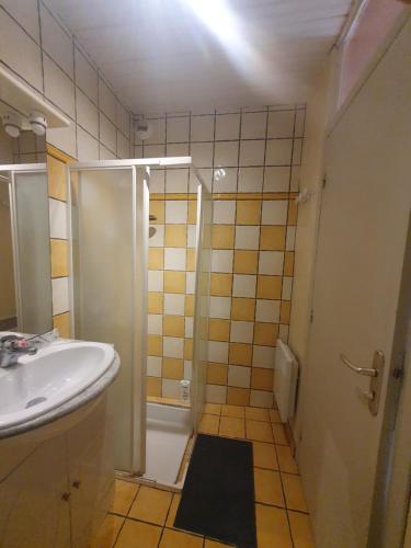 a bathroom with a shower and a sink at Appartement meublé centre ville NYONS in Nyons