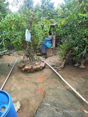 einen Garten mit einem Schlauch, der an einen Baum angeschlossen ist in der Unterkunft Estância paraíso in Esmeraldas