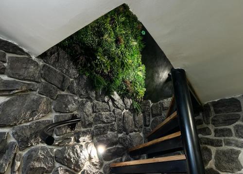a stone wall with green plants on it at Golden Pinpoint in Gornje Vratno