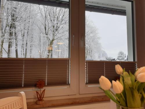 a window with a view of snow covered trees at FeWo Winter in der Villa Waldrand mit zwei Balkonen in Bad Wünnenberg