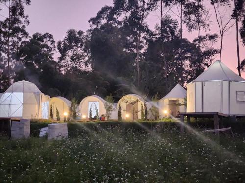 a group of domes in a field at night at Kayak Glamping in Pondokbungur