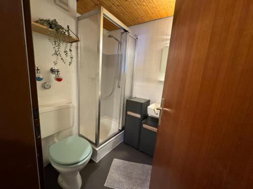 een kleine badkamer met een toilet en een douche bij Ferienwohnung Karo in Oberstaufen