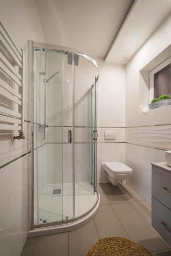 a bathroom with a glass shower and a toilet at Kaszubska Ostoja in Ostrowite