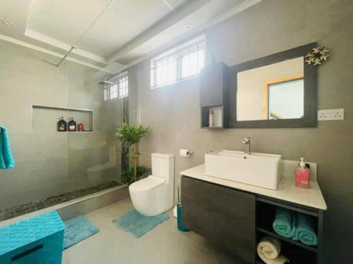 a bathroom with a sink and a toilet and a mirror at Meliyer cheerful 3 bedrooms villa at perebere in Pereybere