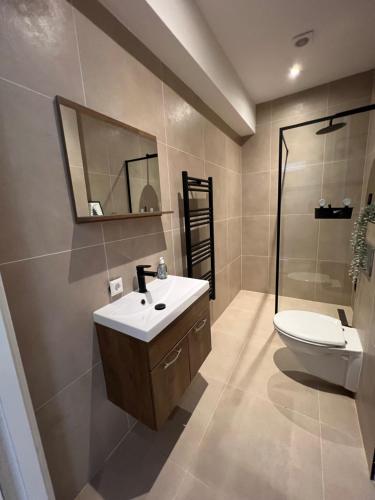 a bathroom with a sink and a toilet and a mirror at Old Town City Centre Apartment 2 in Nijmegen