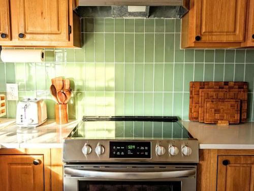 a kitchen with a stove and green tiled wall at Bohemian Tiny Home - Walk to Starbucks in Taylors