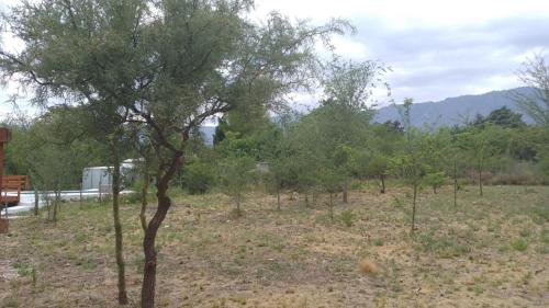 a group of trees in a field with a bench at Ganesha Casa Vacacional in Las Rabonas