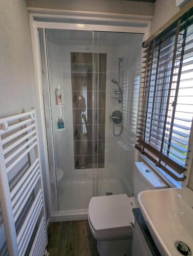 a bathroom with a shower and a toilet and a sink at Luxury Caravan Littlesea Haven Frontline Fleet Lagoon Views in Weymouth