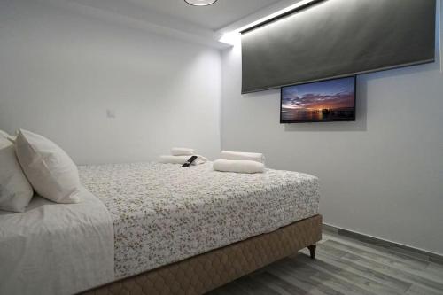 a bedroom with a bed with a tv on the wall at Avra Vip Villa in Paralía Avdhíron