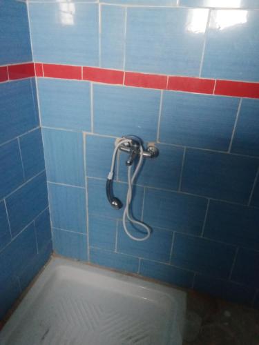 una parete piastrellata blu con doccia in bagno di Mosaic House 24 a Raoued