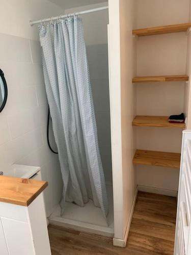 La salle de bains est pourvue d'une douche avec rideau de douche. dans l'établissement Magnifique Studio, à Plouvorn