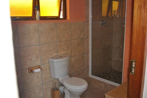 a bathroom with a toilet and a shower at Sunflower Cottage in Herbertsdale
