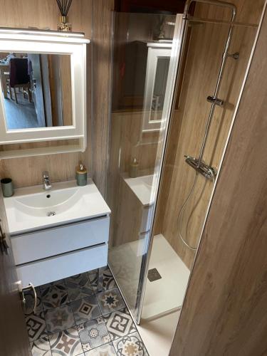 a bathroom with a sink and a shower at Cocon des chaumes in La Bresse