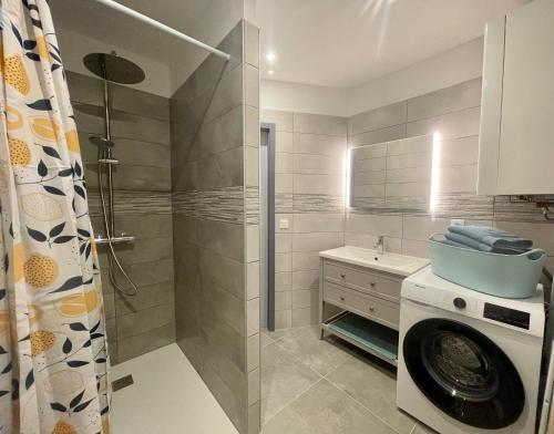 une salle de bain avec douche et machine à laver dans l'établissement Gîte des oiseaux, à Colmar