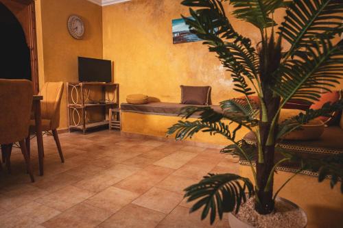 ein Wohnzimmer mit einer Topfpflanze und einem TV in der Unterkunft The Mogador's Oasis in Akermoud