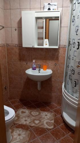 Bilik mandi di Apartman Lena Doboj