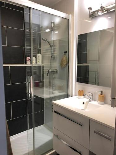 une salle de bain avec une douche en verre et un lavabo dans l'établissement Appartement en duplex avec parking et jardinet, à Bourges
