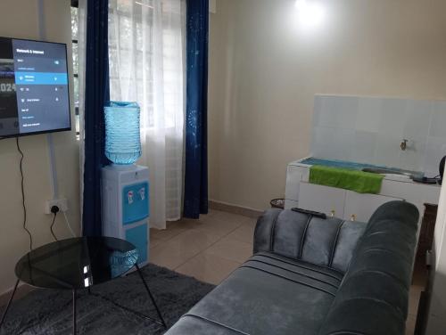ein Wohnzimmer mit einem Sofa und einem TV in der Unterkunft Bomet studio/bedsitter next to Chelsa Academy in Bomet
