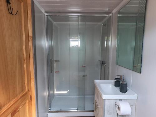 prysznic ze szklanymi drzwiami obok umywalki w obiekcie Cabaña 7 Islas w mieście Ilque
