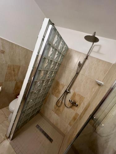 a shower in a bathroom with a toilet at Pensiunea Sandra in Ocna Şugatag