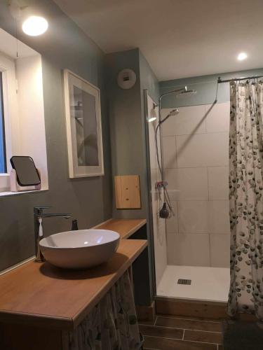 a bathroom with a sink and a shower at Gîte La Lisière in Sparsbach