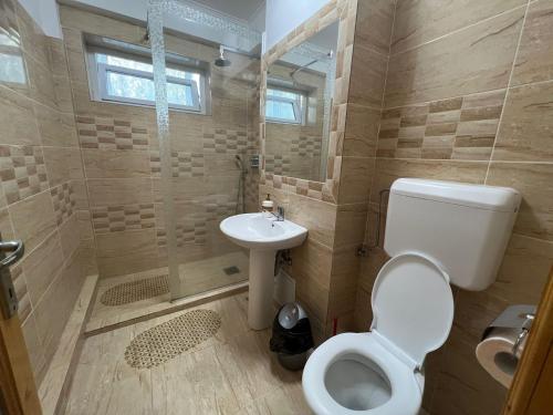 a bathroom with a toilet and a shower and a sink at Aparthotel Brasov Neptun in Braşov