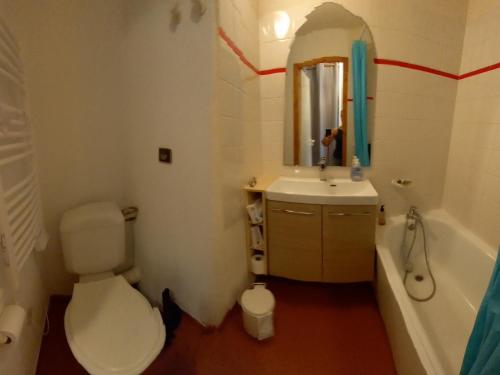 ヴァルフレジュスにあるStudio Valfréjus, 1 pièce, 4 personnes - FR-1-265-238のバスルーム(トイレ、洗面台、鏡付)