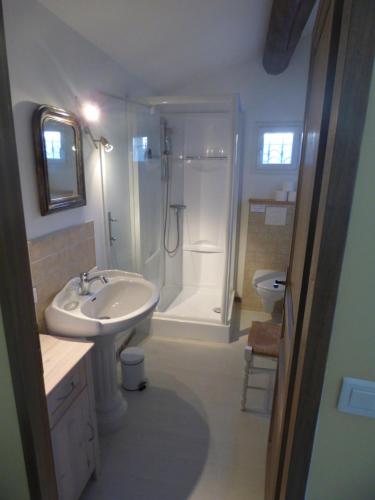 a bathroom with a sink and a shower and a toilet at Chambre d'Hôtes entre Provence et Camargue in Beaucaire