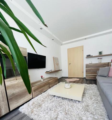 Apartman4You Miskolc 3531 Miskolc, 14 Vászonfehérítő utca kép - 1