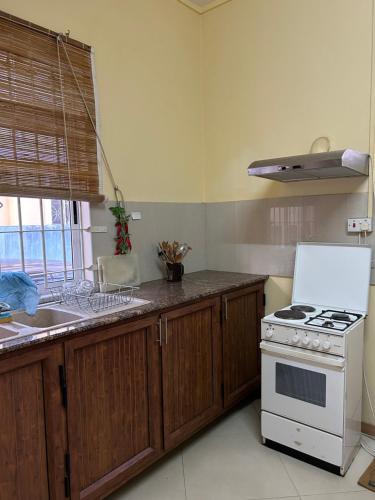 a kitchen with a stove and a sink at VMKY apartments in Triolet