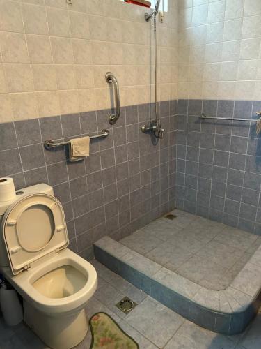 a bathroom with a toilet and a shower at VMKY apartments in Triolet