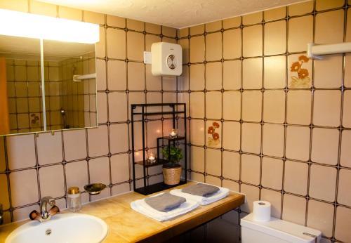 a bathroom with a sink and a mirror at MANY'S historical city central APARTMENTS in Zurich