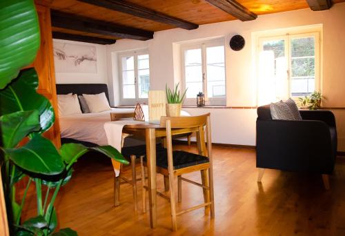 Gallery image of MANY'S historical city central APARTMENTS in Zürich