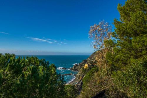 Sunshine Front Beach Levanto – Photos 2