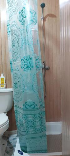 a shower curtain in a bathroom with a toilet at CABAÑA EL BUHO - ESMERALDA in Puerto Natales