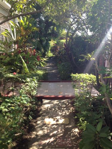 a path through a garden with trees and plants at Kingston Airport bed and breakfast in Kingston