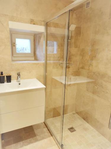 uma casa de banho com um chuveiro e um lavatório. em Appartement Rose em Nogent-sur-Seine