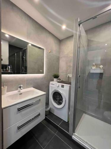 une salle de bain avec un lavabo et une machine à laver dans l'établissement Adorable Appartement Strasbourg NEUDORF PARKING SOUS SOL, à Strasbourg