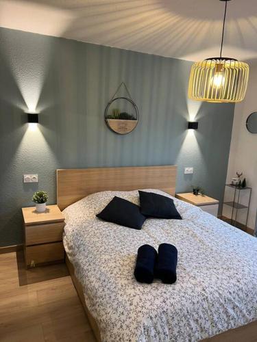 une chambre avec un lit avec deux oreillers bleus dessus dans l'établissement Adorable Appartement Strasbourg NEUDORF PARKING SOUS SOL, à Strasbourg