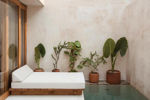 a room with potted plants and a white couch at Lunaya in Puerto Escondido