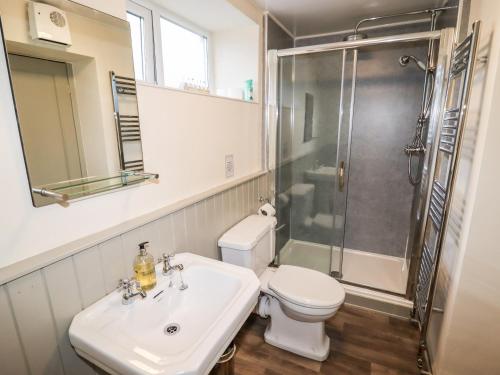 a bathroom with a toilet and a sink and a shower at Plas Cwtta in Clocaenog