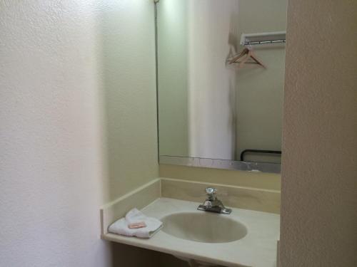 a bathroom with a sink and a mirror at Carpet Inn in Opelika