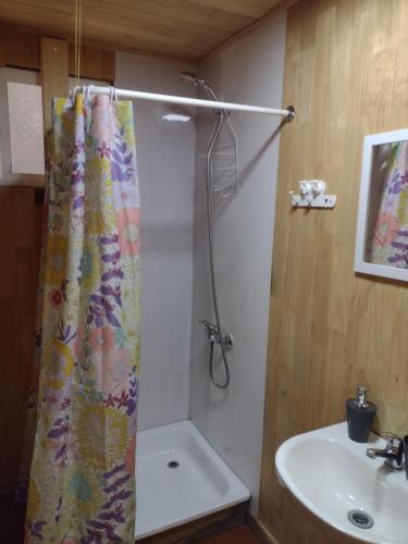 y baño con cortina de ducha y lavamanos. en Casa Aoni, en Puerto Montt