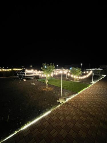 ein Park mit Bäumen und Lichtern in der Nacht in der Unterkunft Murbad farm 